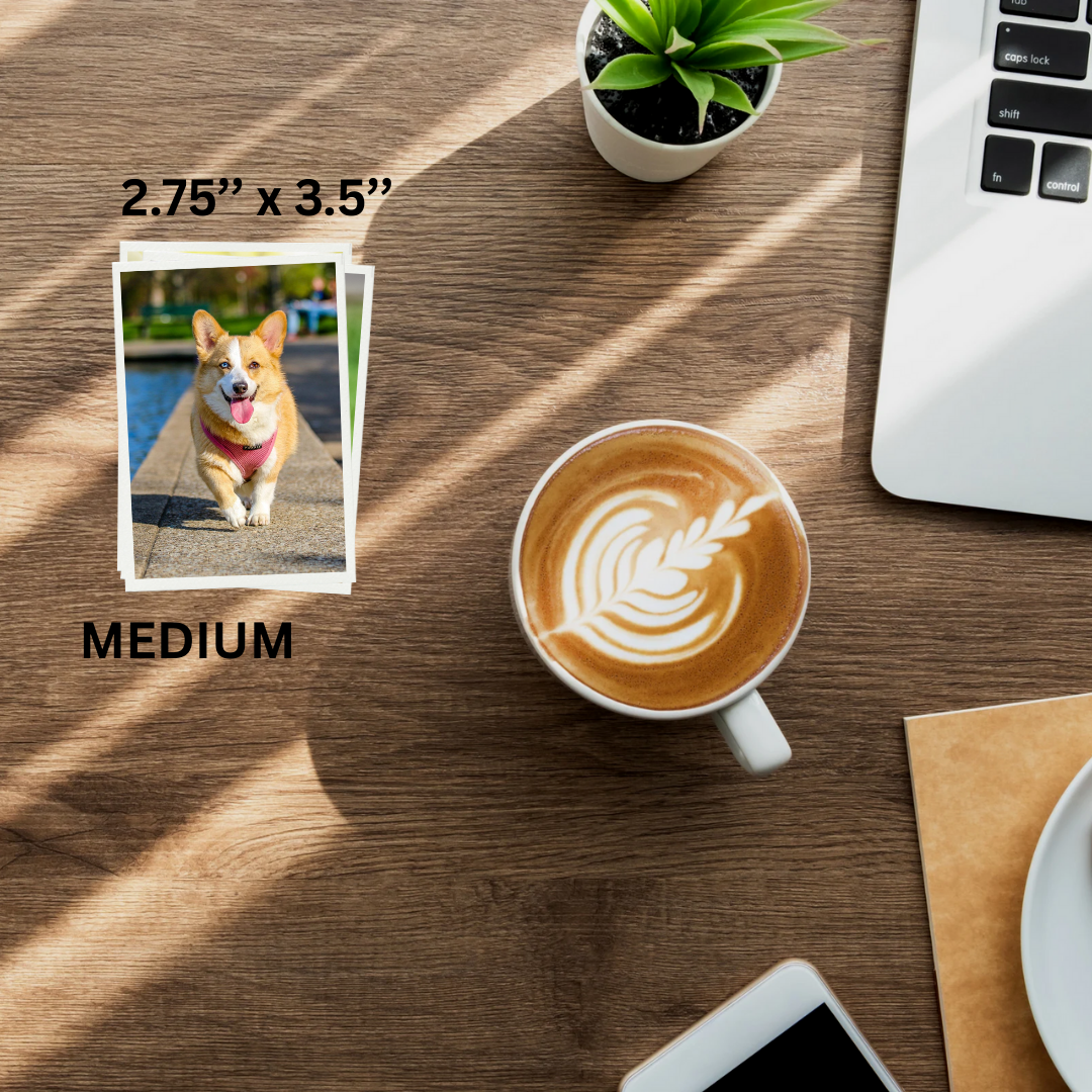Photo Prints MEDIUM -  2.75" x 3.5"